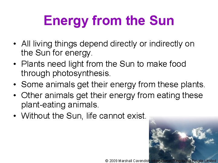 Energy from the Sun • All living things depend directly or indirectly on the