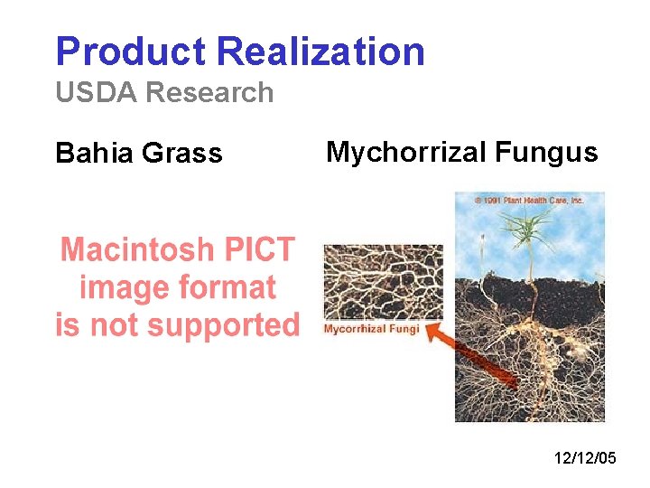 Product Realization USDA Research Bahia Grass Mychorrizal Fungus 12/12/05 