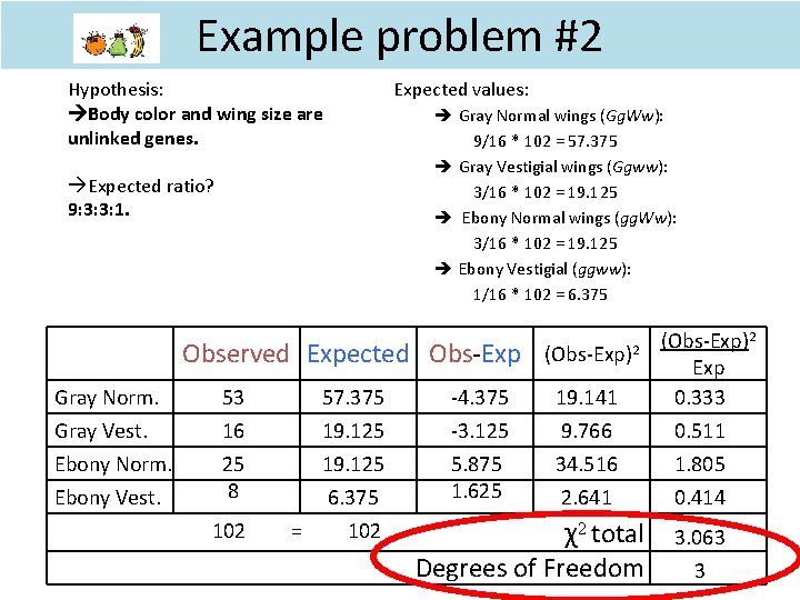 Example problem #2 Hypothesis: Body color and wing size are unlinked genes. Expected ratio? Example problem #2 Hypothesis: Body color and wing size are unlinked genes. Expected ratio?