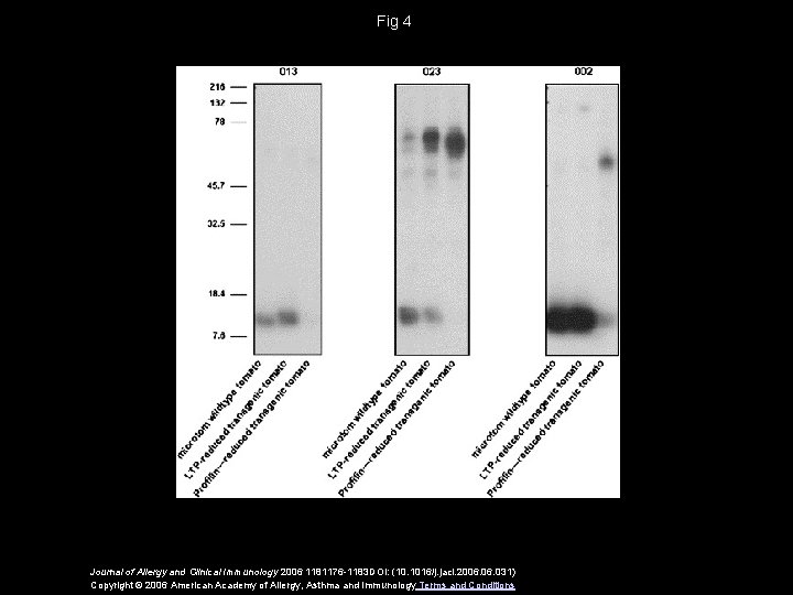 Fig 4 Journal of Allergy and Clinical Immunology 2006 1181176 -1183 DOI: (10. 1016/j.