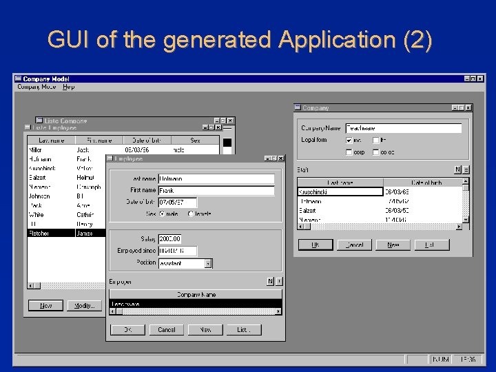 GUI of the generated Application (2) 