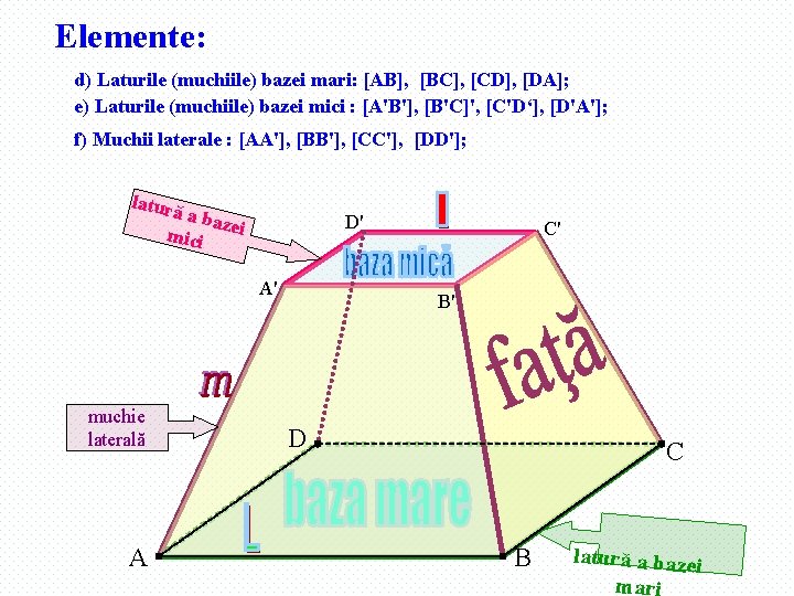 Elemente: d) Laturile (muchiile) bazei mari: [AB], [BC], [CD], [DA]; e) Laturile (muchiile) bazei