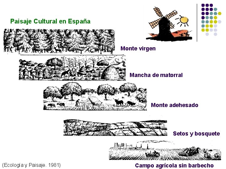 Paisaje Cultural en España Monte virgen Mancha de matorral Monte adehesado Setos y bosquete