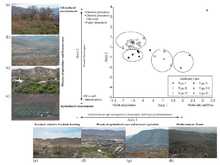 Investigación: Modelización de cambios en el paisaje. • Se obtiene una ecuación de regresión