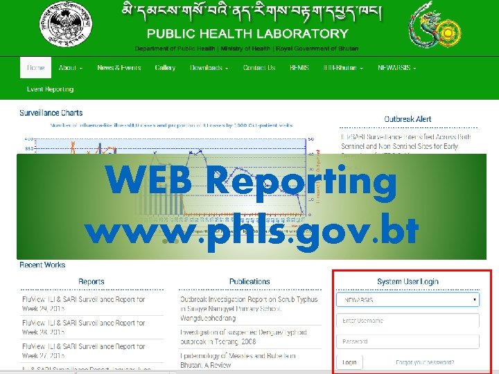 Web. Reporting WEB www. phls. gov. bt 
