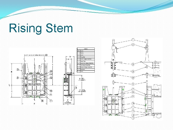 Rising Stem 