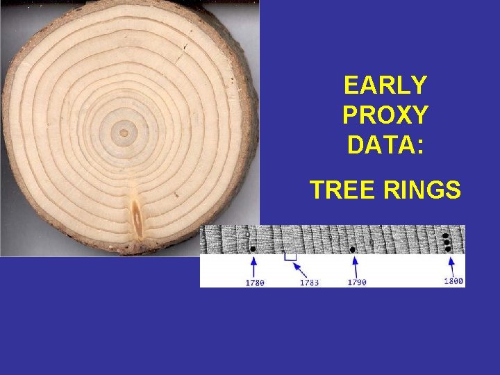 EARLY PROXY DATA: TREE RINGS 