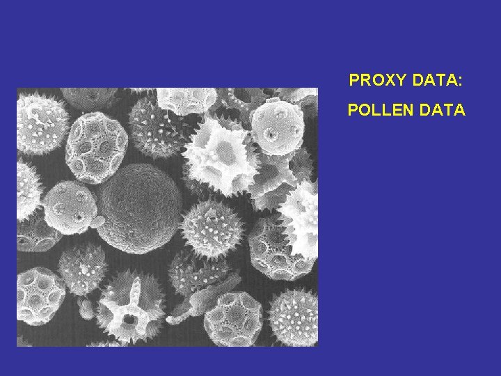 PROXY DATA: POLLEN DATA 