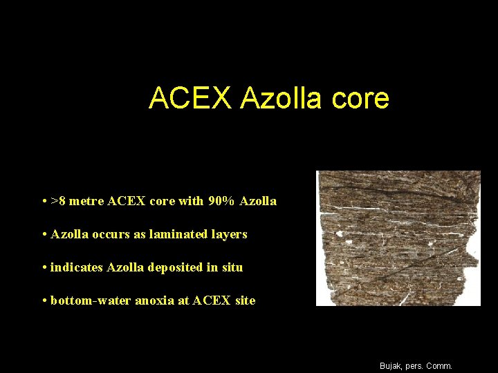ACEX Azolla core • >8 metre ACEX core with 90% Azolla • Azolla occurs