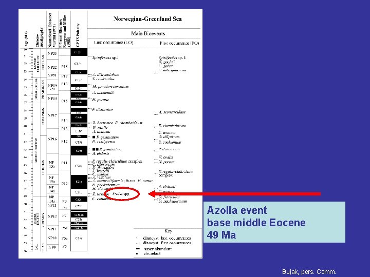 ? Azolla event base middle Eocene 49 Ma Bujak, pers. Comm. 