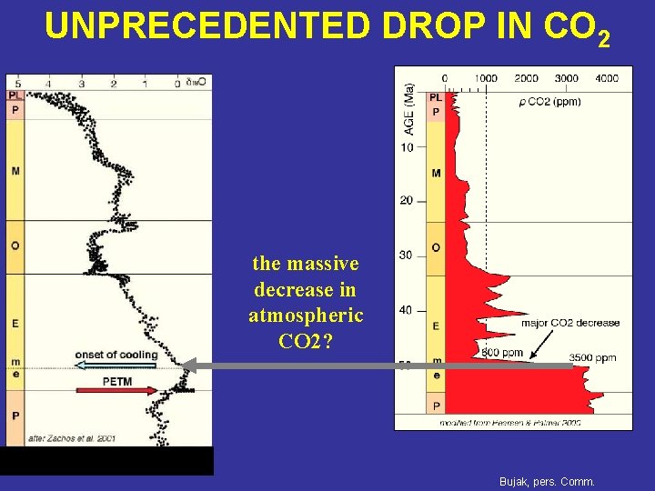 UNPRECEDENTED DROP IN CO 2 the massive decrease in atmospheric CO 2? Bujak, pers.