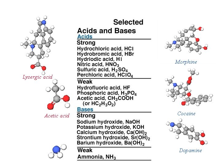 Morphine Lysergic acid Acetic acid Cocaine Dopamine 