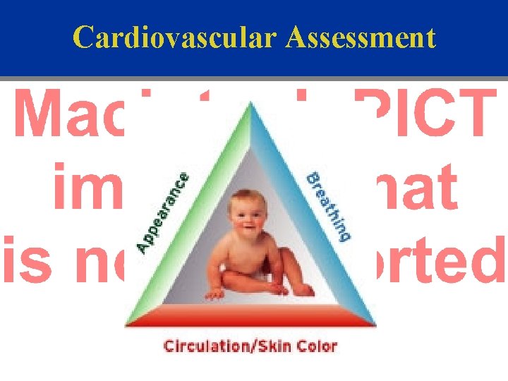 Cardiovascular Assessment 