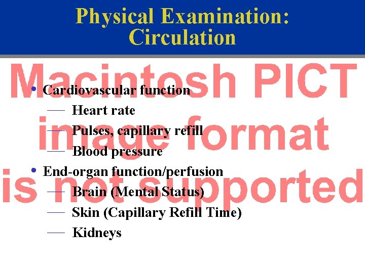 Physical Examination: Circulation • Cardiovascular function — Heart rate — Pulses, capillary refill —