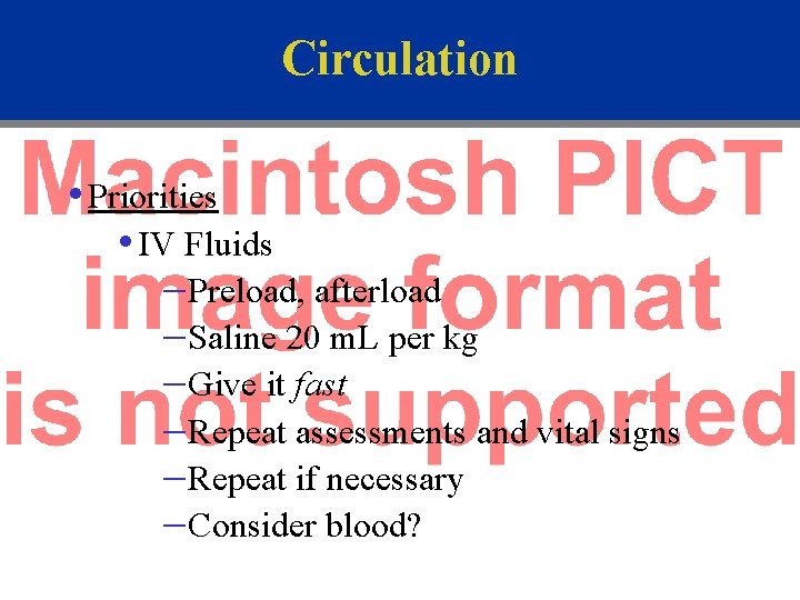 Circulation • Priorities • IV Fluids – Preload, afterload – Saline 20 m. L