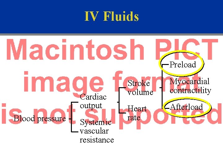 IV Fluids Preload Cardiac output Blood pressure Systemic vascular resistance Stroke volume Myocardial contractility