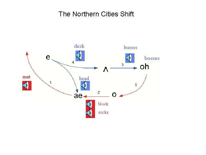 The Northern Cities Shift desk busses bosses mat head block socks 