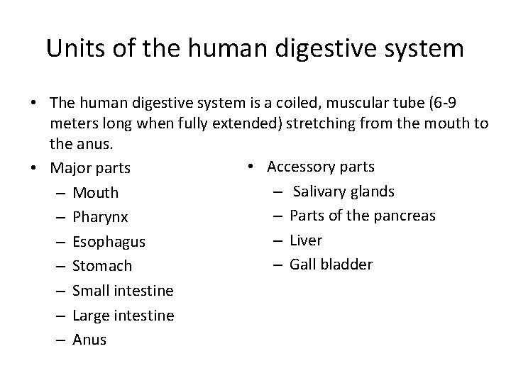 Units of the human digestive system • The human digestive system is a coiled,