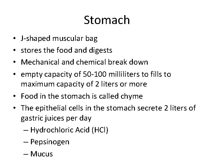 Stomach J-shaped muscular bag stores the food and digests Mechanical and chemical break down