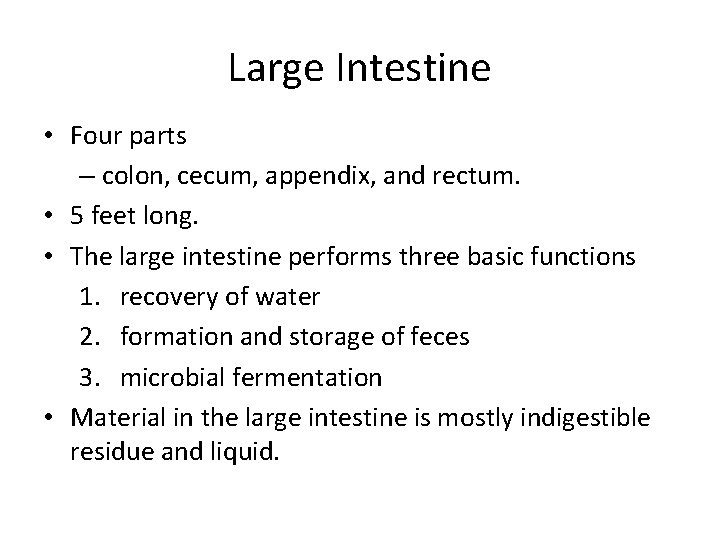 Large Intestine • Four parts – colon, cecum, appendix, and rectum. • 5 feet