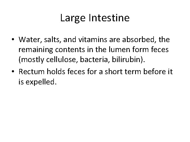 Large Intestine • Water, salts, and vitamins are absorbed, the remaining contents in the