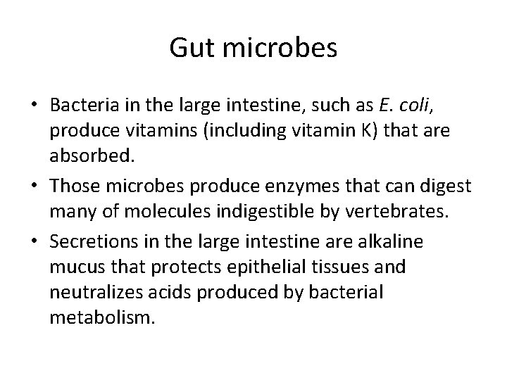 Gut microbes • Bacteria in the large intestine, such as E. coli, produce vitamins