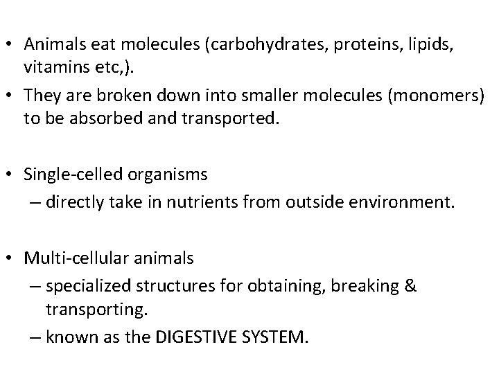  • Animals eat molecules (carbohydrates, proteins, lipids, vitamins etc, ). • They are