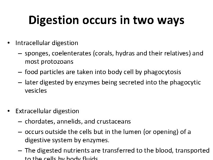 Digestion occurs in two ways • Intracellular digestion – sponges, coelenterates (corals, hydras and