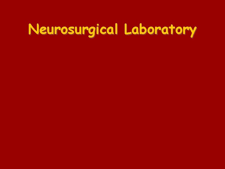 Neurosurgical Laboratory 