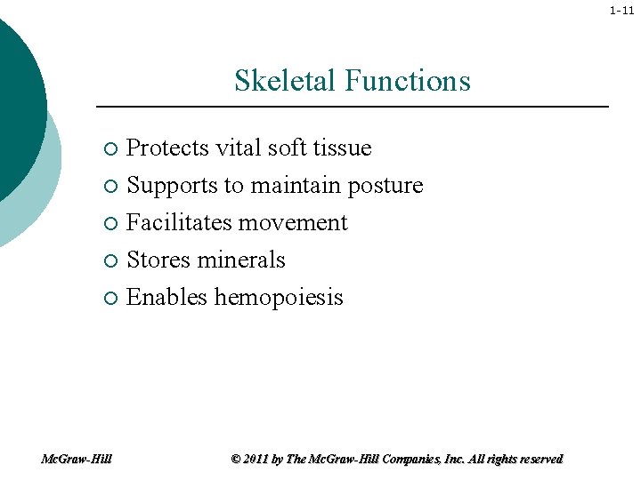 1 -11 Skeletal Functions Protects vital soft tissue ¡ Supports to maintain posture ¡