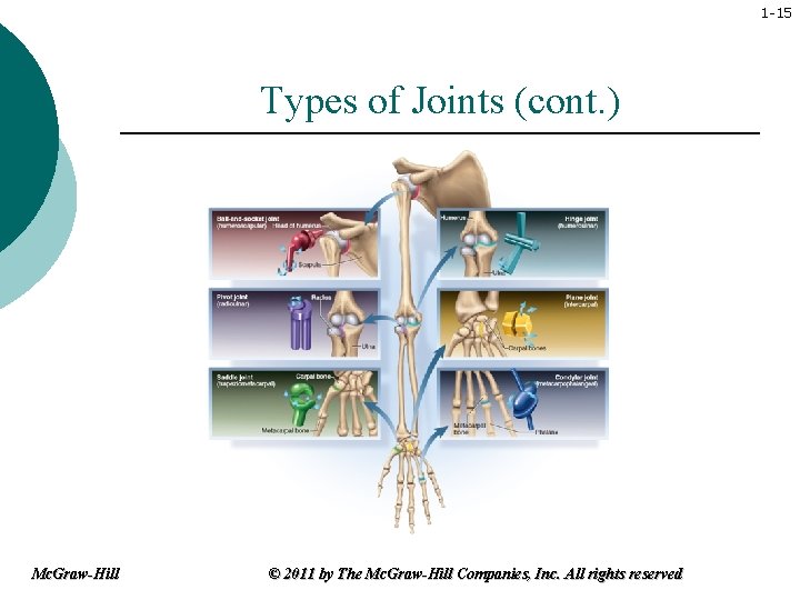 1 -15 Types of Joints (cont. ) Mc. Graw-Hill © 2011 by The Mc.