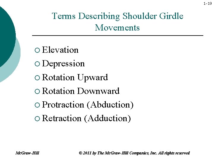 1 -19 Terms Describing Shoulder Girdle Movements ¡ Elevation ¡ Depression ¡ Rotation Upward