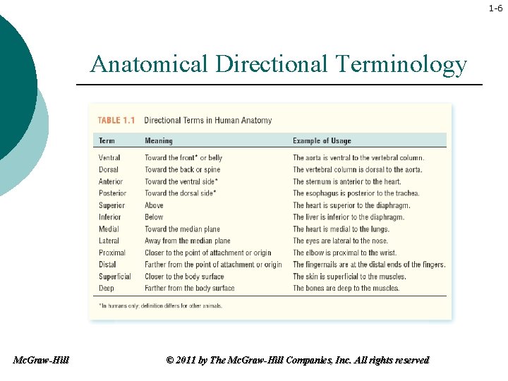 1 -6 Anatomical Directional Terminology Mc. Graw-Hill © 2011 by The Mc. Graw-Hill Companies,