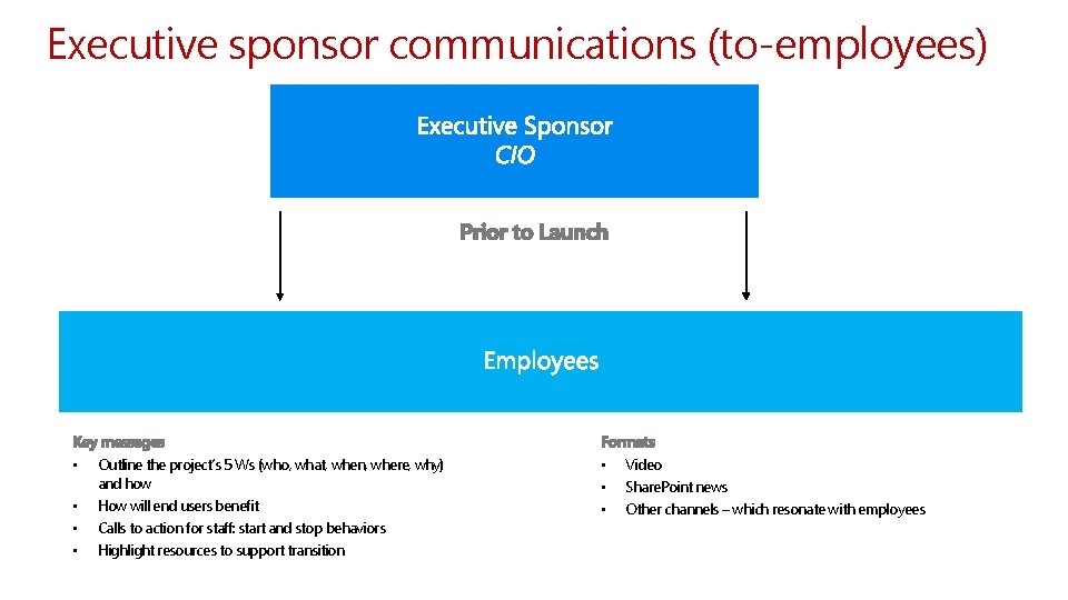 Executive sponsor communications (to-employees) • • Outline the project’s 5 Ws (who, what, when,