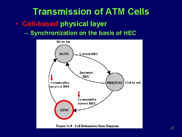 Transmission of ATM Cells • Cell-based physical layer – Synchronization on the basis of