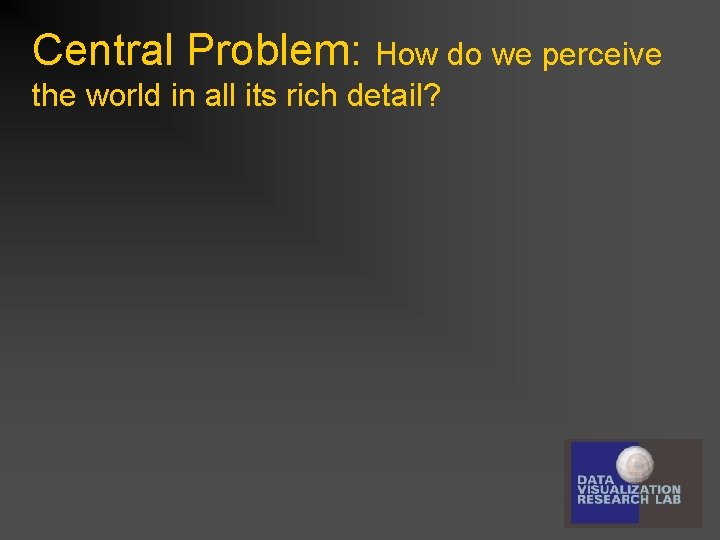 Central Problem: How do we perceive the world in all its rich detail? 