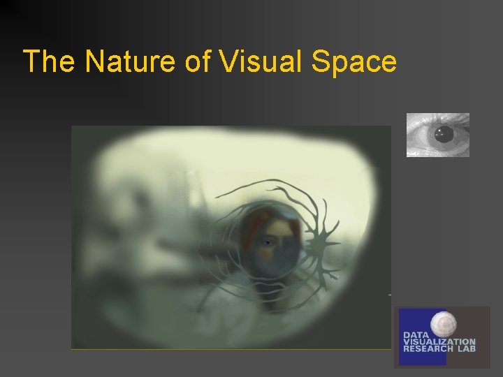 The Nature of Visual Space 