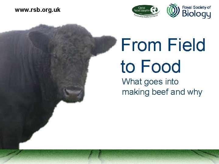 www. rsb. org. uk From Field to Food What goes into making beef and