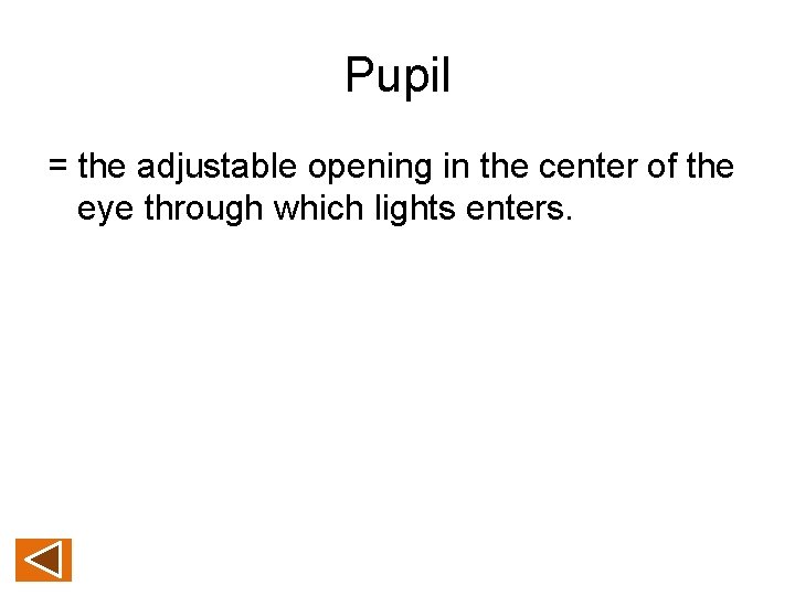Pupil = the adjustable opening in the center of the eye through which lights