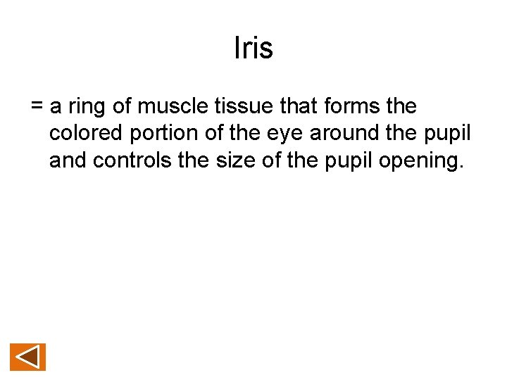 Iris = a ring of muscle tissue that forms the colored portion of the