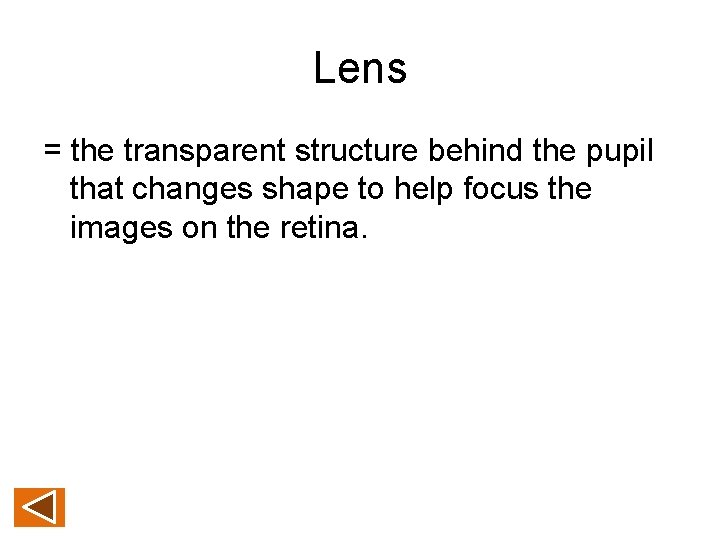 Lens = the transparent structure behind the pupil that changes shape to help focus