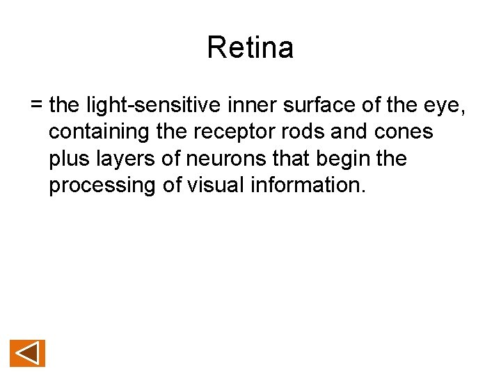 Retina = the light-sensitive inner surface of the eye, containing the receptor rods and