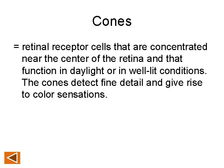 Cones = retinal receptor cells that are concentrated near the center of the retina