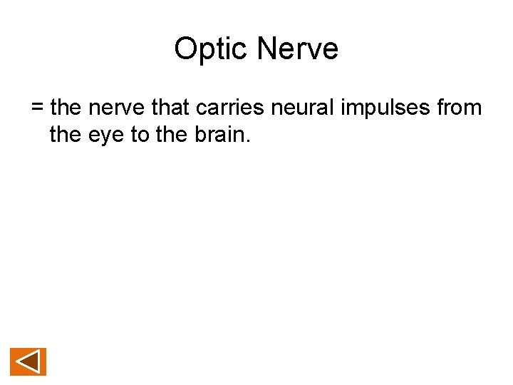 Optic Nerve = the nerve that carries neural impulses from the eye to the