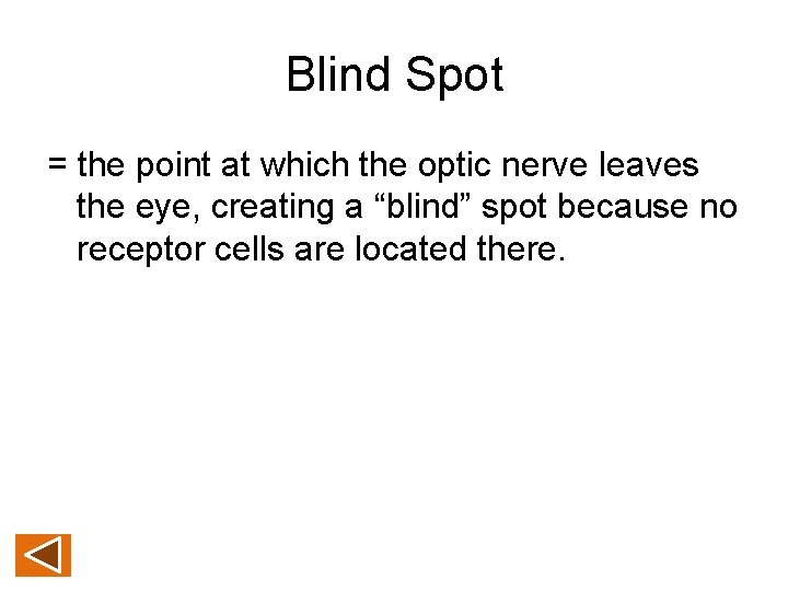 Blind Spot = the point at which the optic nerve leaves the eye, creating