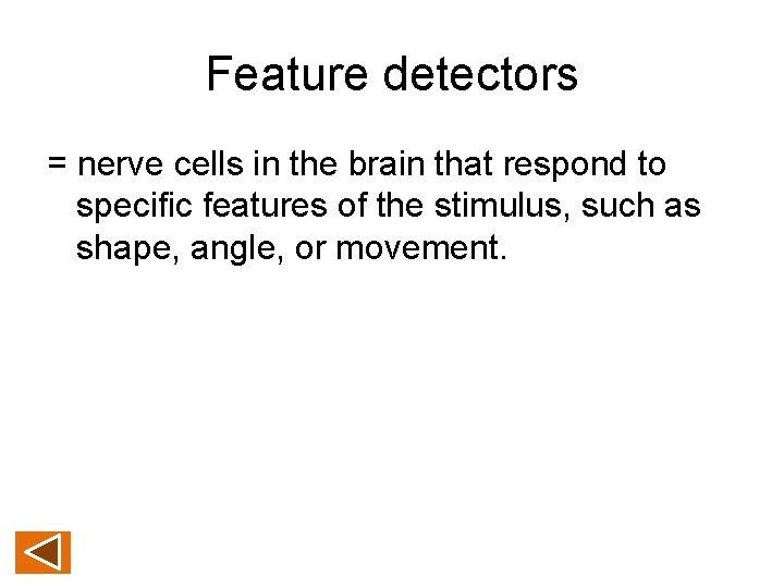 Feature detectors = nerve cells in the brain that respond to specific features of