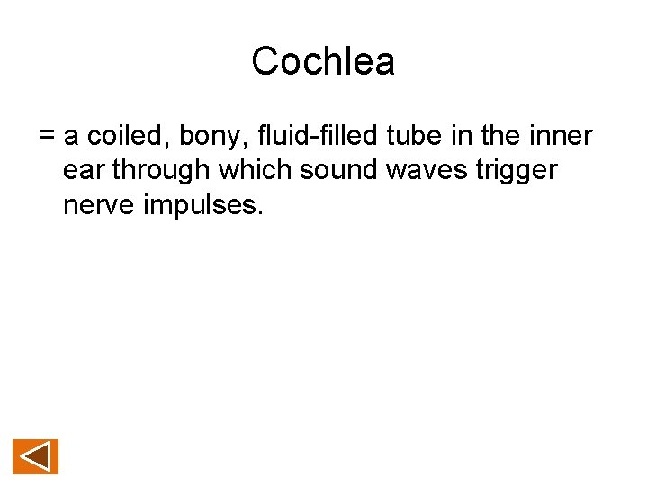 Cochlea = a coiled, bony, fluid-filled tube in the inner ear through which sound