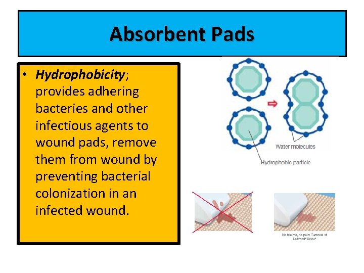 Absorbent Pads • Hydrophobicity; provides adhering bacteries and other infectious agents to wound pads,