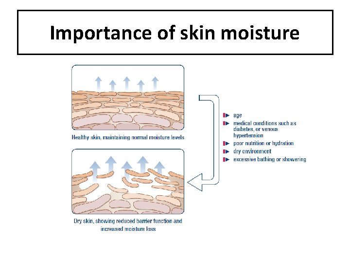 Importance of skin moisture 