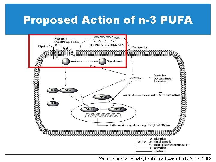 Proposed Action of n-3 PUFA Wooki Kim et al. Prosta, Leukotri & Essent Fatty